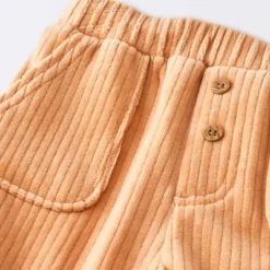 Baby Boys' 2pc Fox Sweatshirt & Corduroy Pants Set - Cloud Island™ Navy Blue -Cloud Island Outlet Store GUEST 7d0b53b1 b30a 4baf a600 eccf517e4a3e